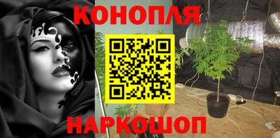 трава Аргун