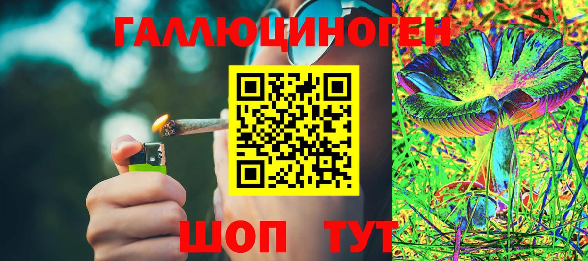 Псилоцибиновые грибы Magic Shrooms Вязники